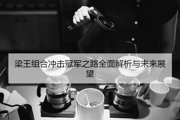 梁王组合冲击冠军之路全面解析与未来展望