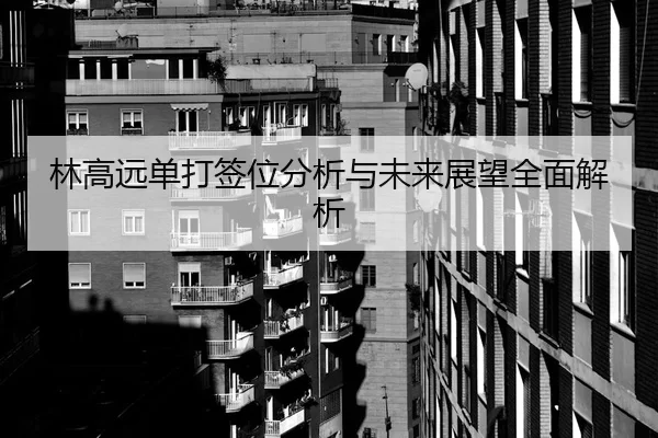 林高远单打签位分析与未来展望全面解析
